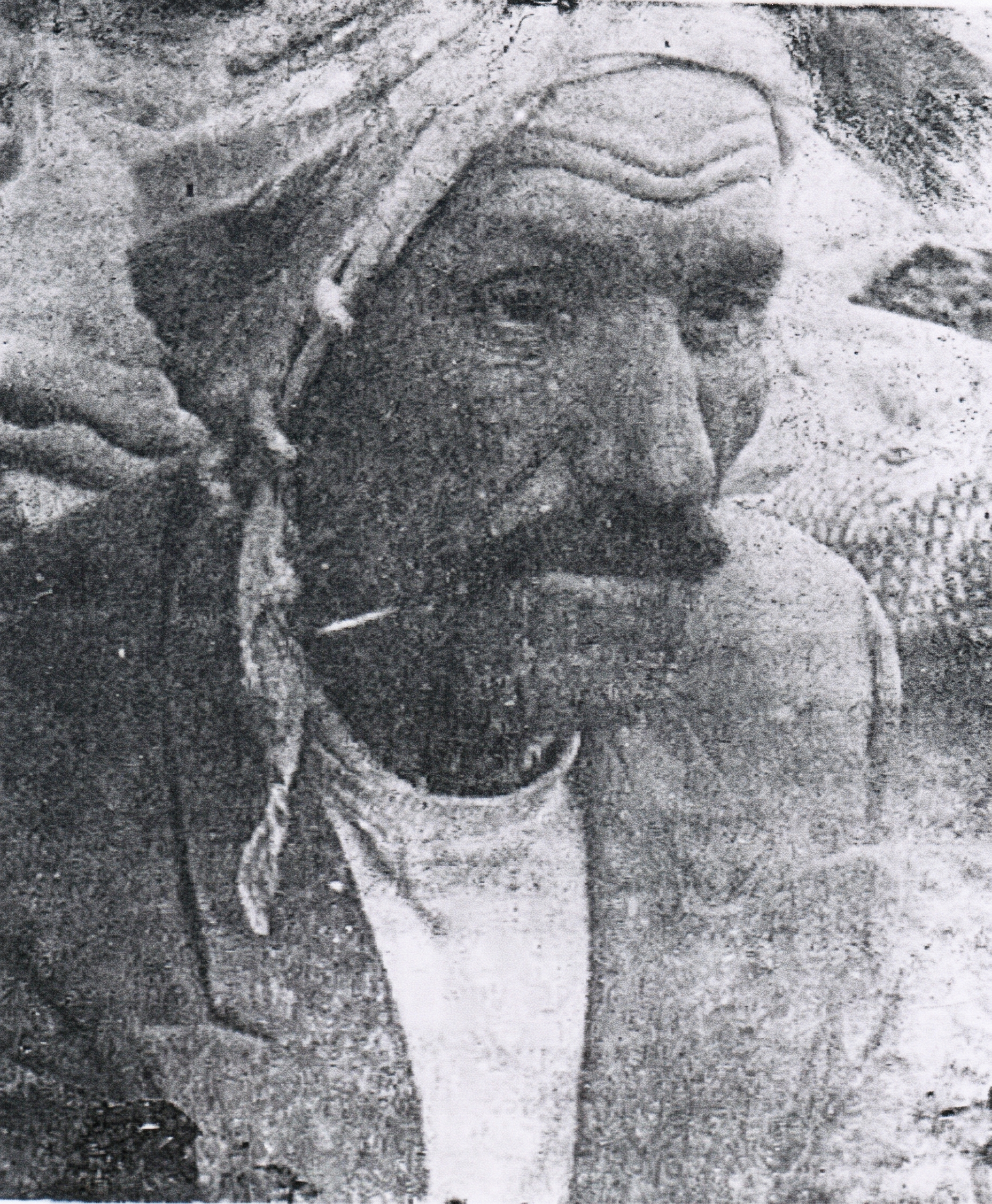HANİFİ AÇIKGÖZ (ŞİDO HANİFİ)